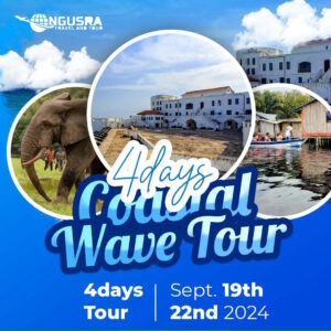 Coastal Wave Tour