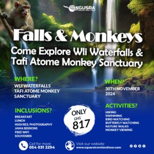 Falls And Monkeys