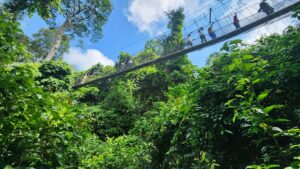 Things to Do in Kakum National Park