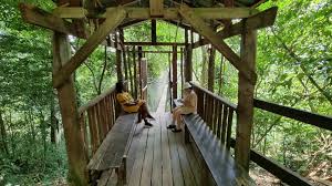 Things to Do in Kakum National Park