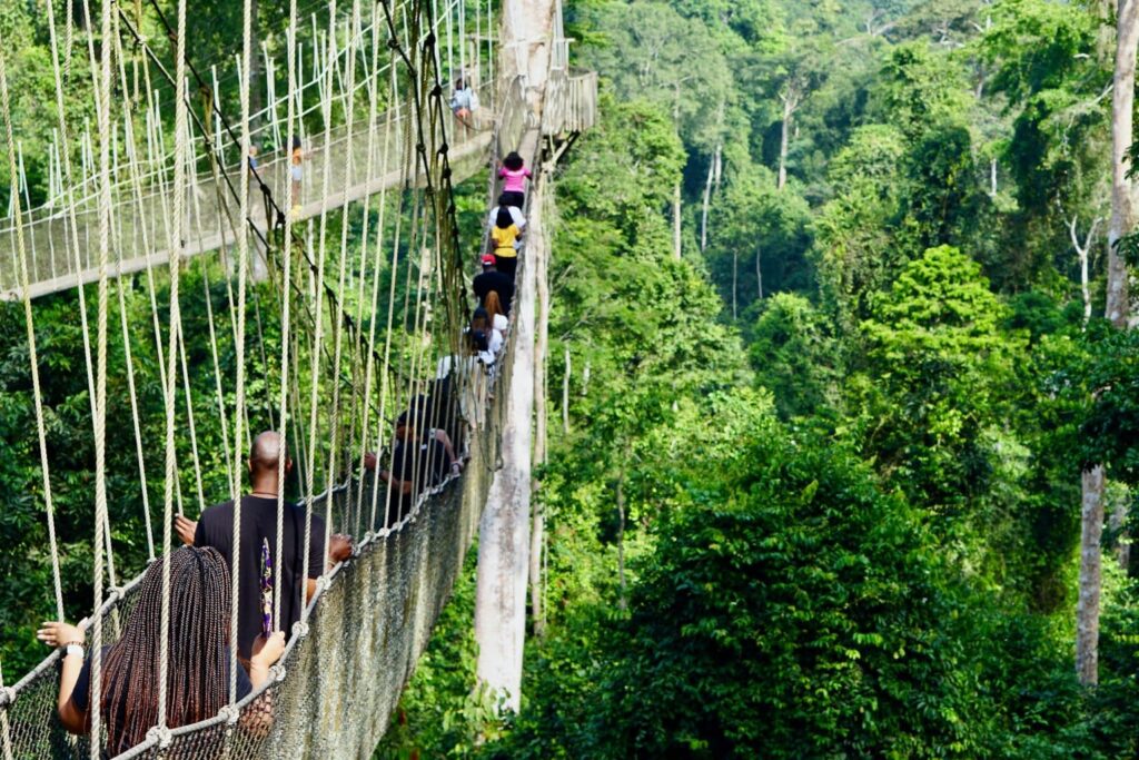 Kakum National Park canopy walk experience in Ghana